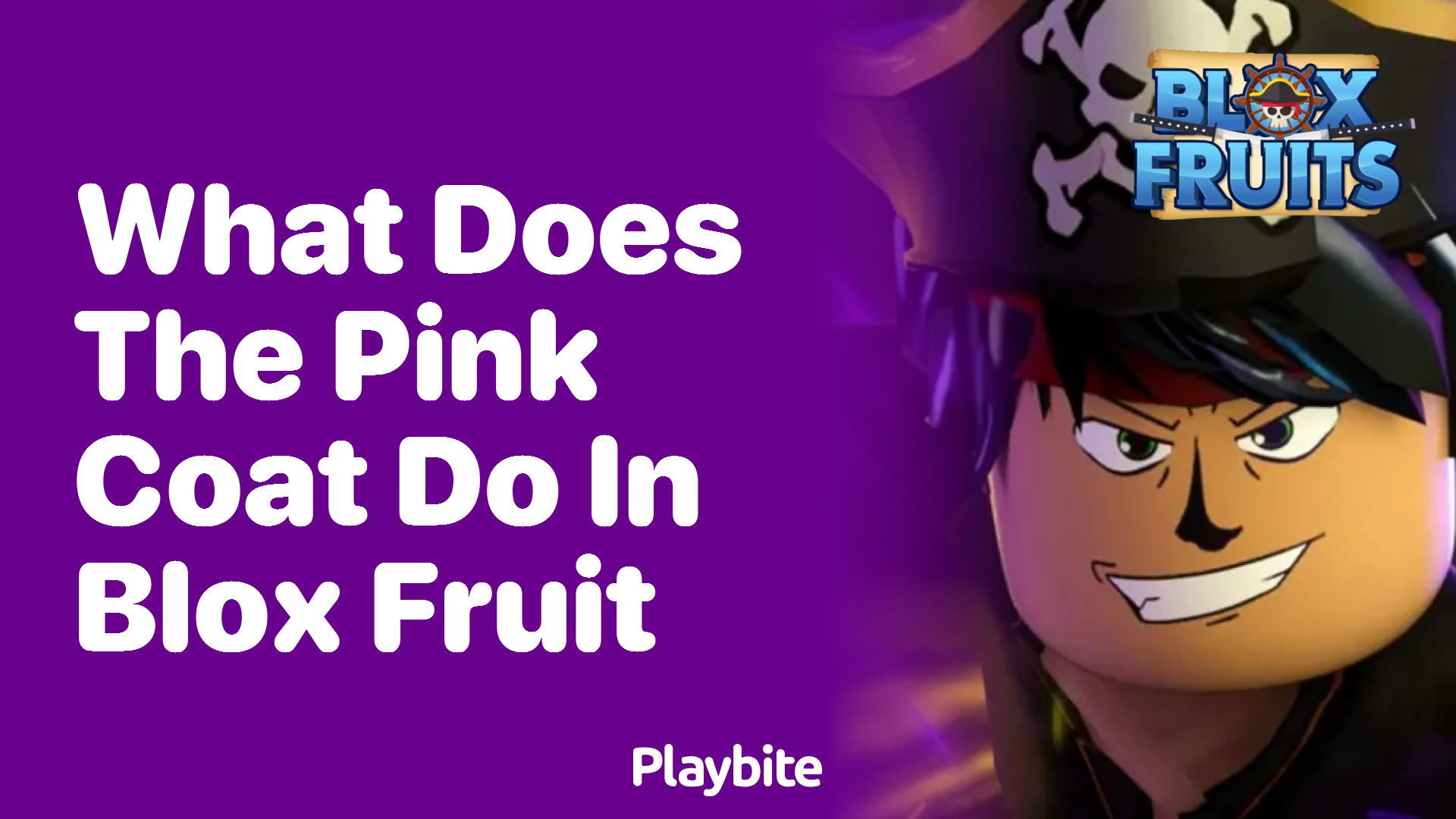 What Does The Pink Coat Do In Blox Fruit Playbite