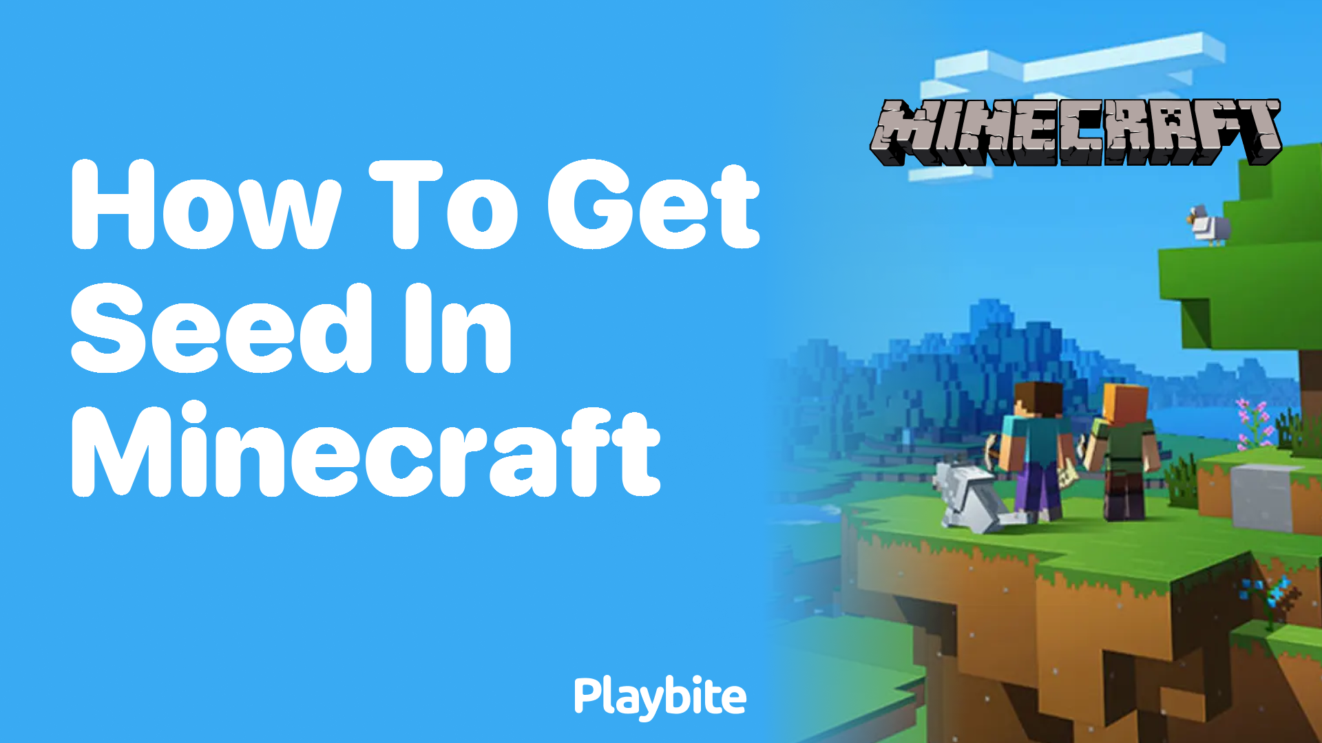 How To Get Seed In Minecraft Your Quick Guide Playbite