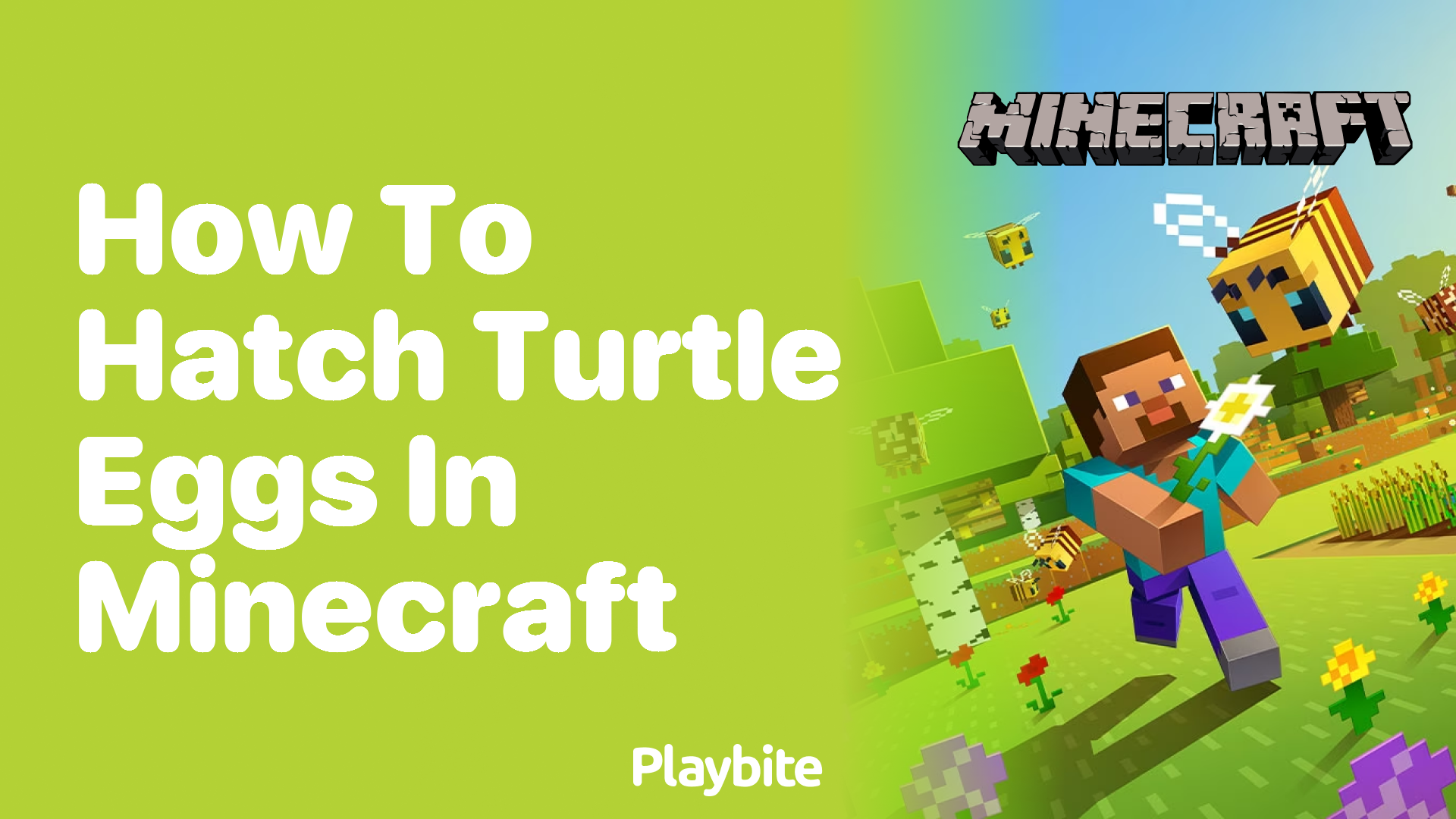 How To Hatch Turtle Eggs In Minecraft A Simple Guide Playbite