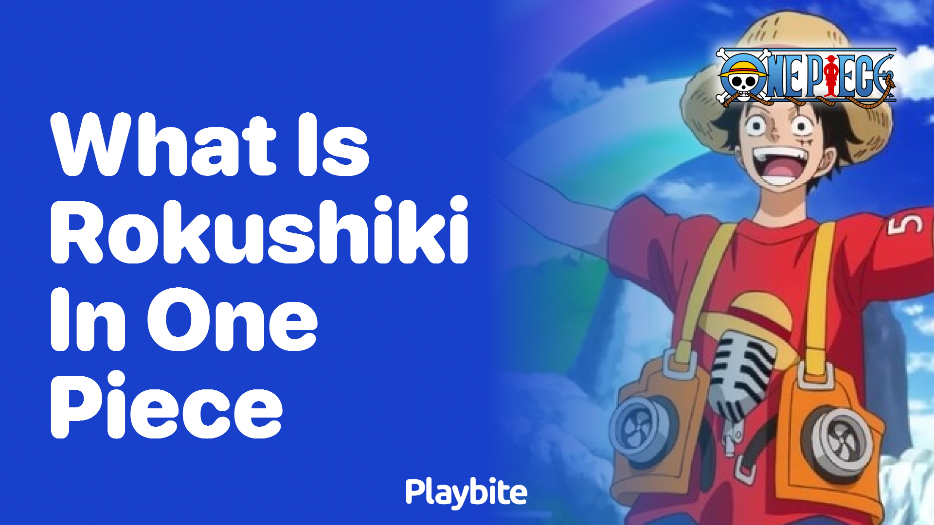 What Is Rokushiki In One Piece Playbite