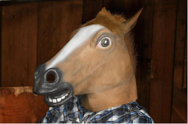 Horse Mask