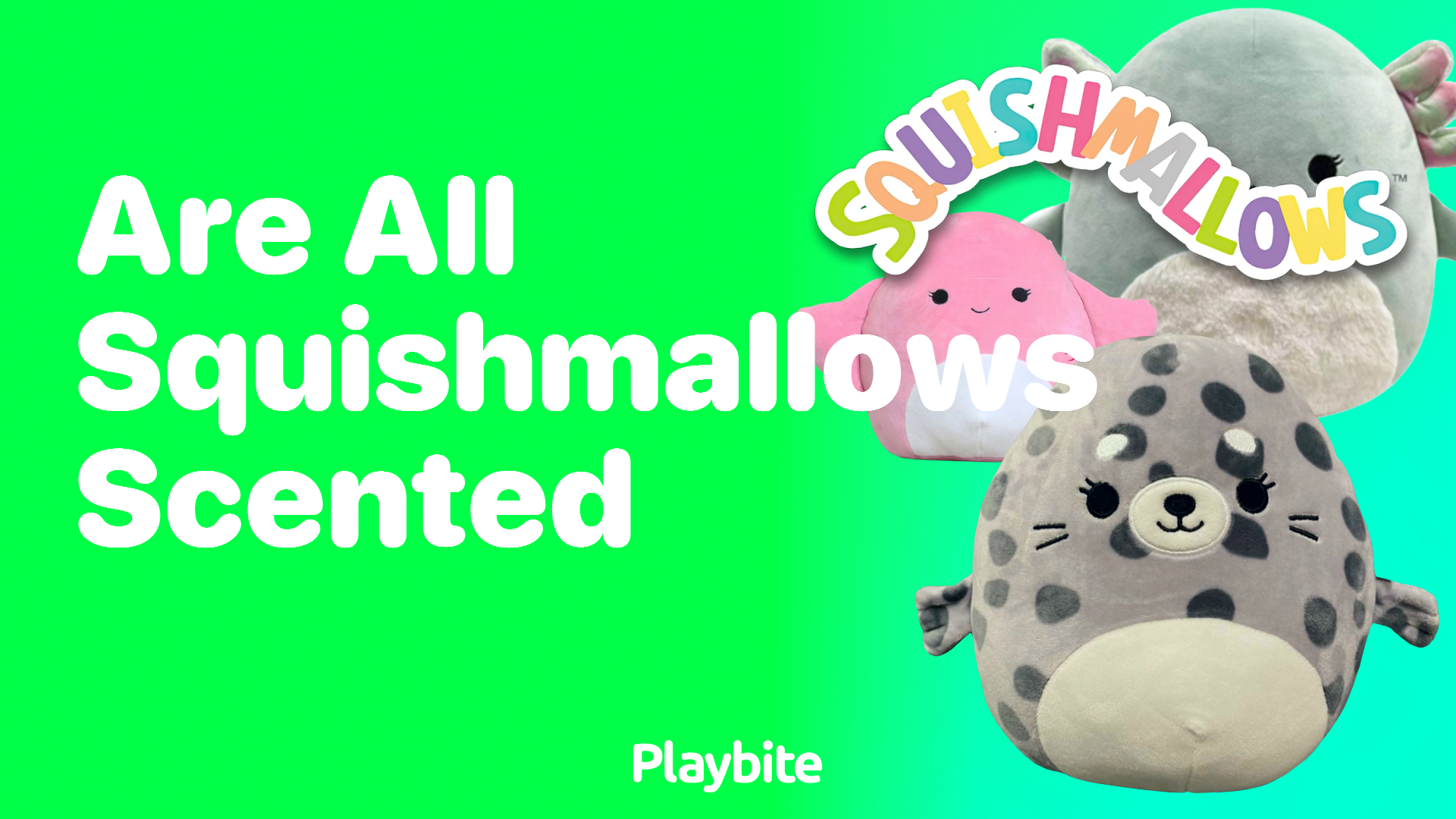 Are All Squishmallows Scented? Unwrapping the Myth!