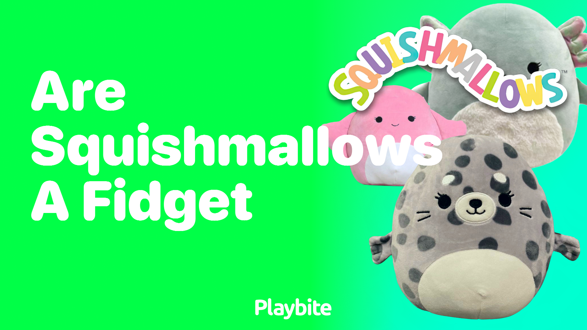 Are Squishmallows Considered a Fidget Toy?