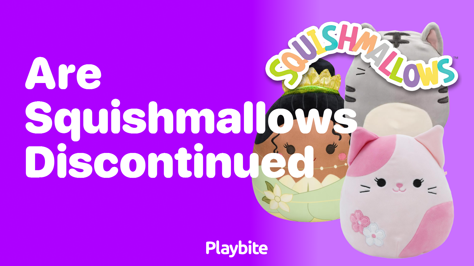 Are Squishmallows Discontinued? Let&#8217;s Unwrap the Truth!