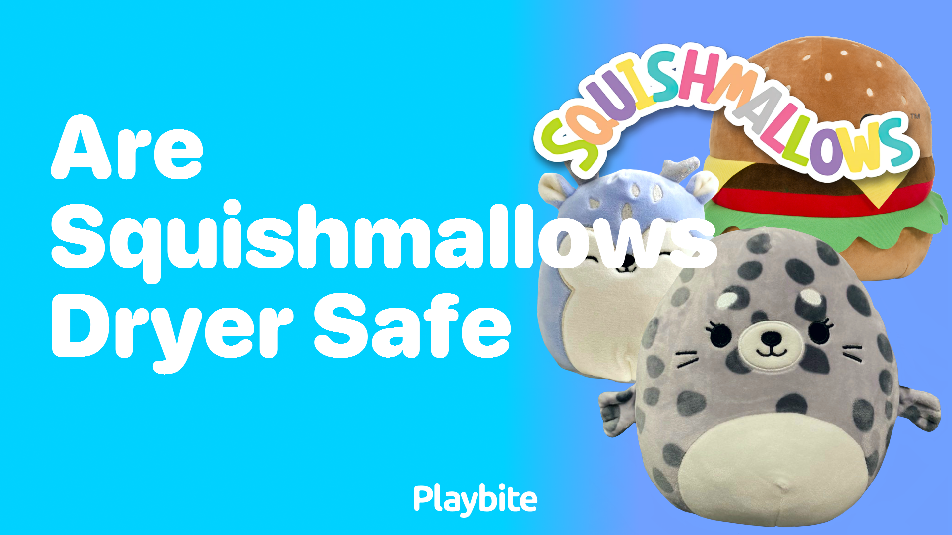 Are Squishmallows Dryer Safe? Find Out Here!