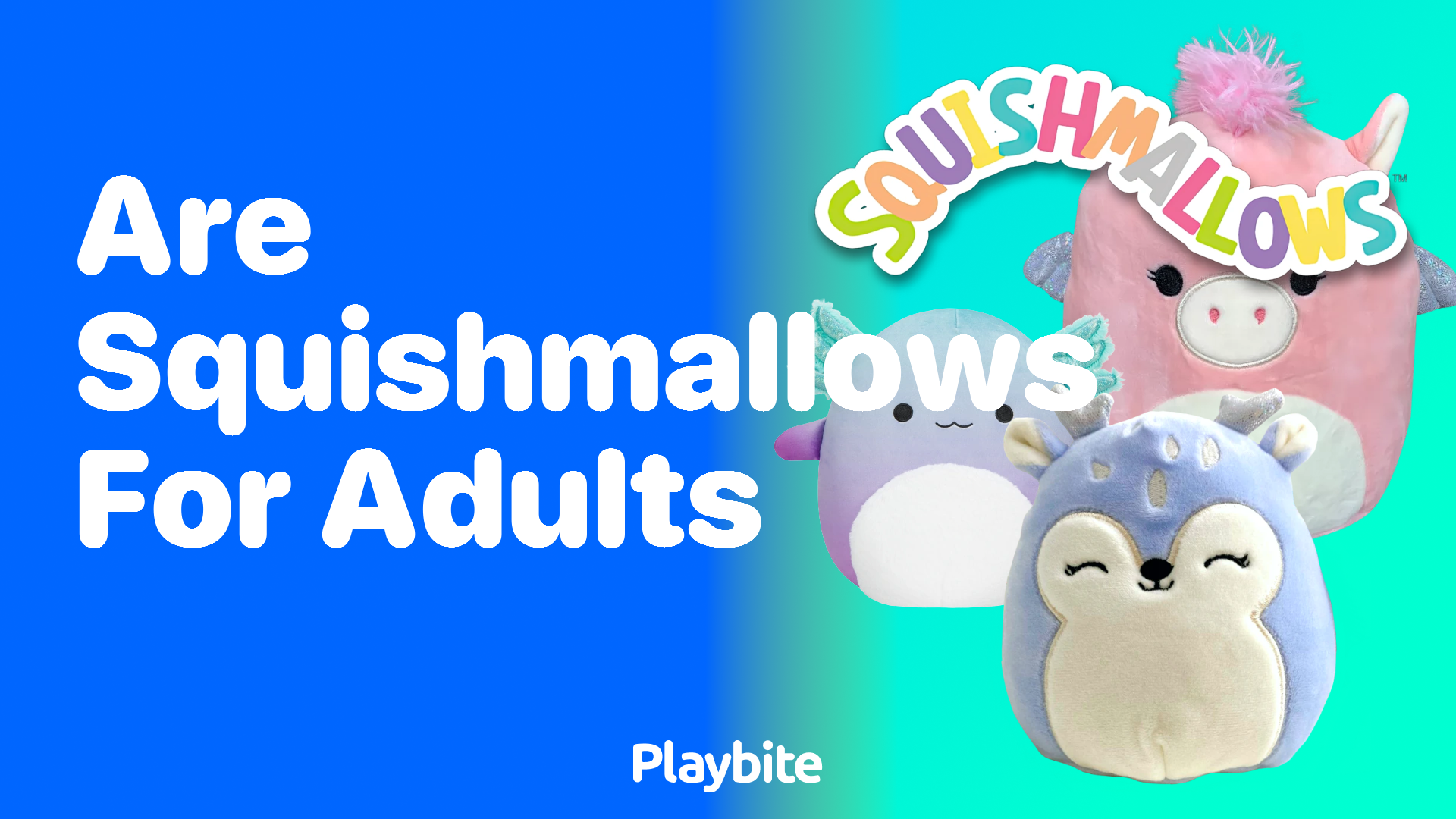 Are Squishmallows for Adults? Unwrapping the Cuddly Mystery