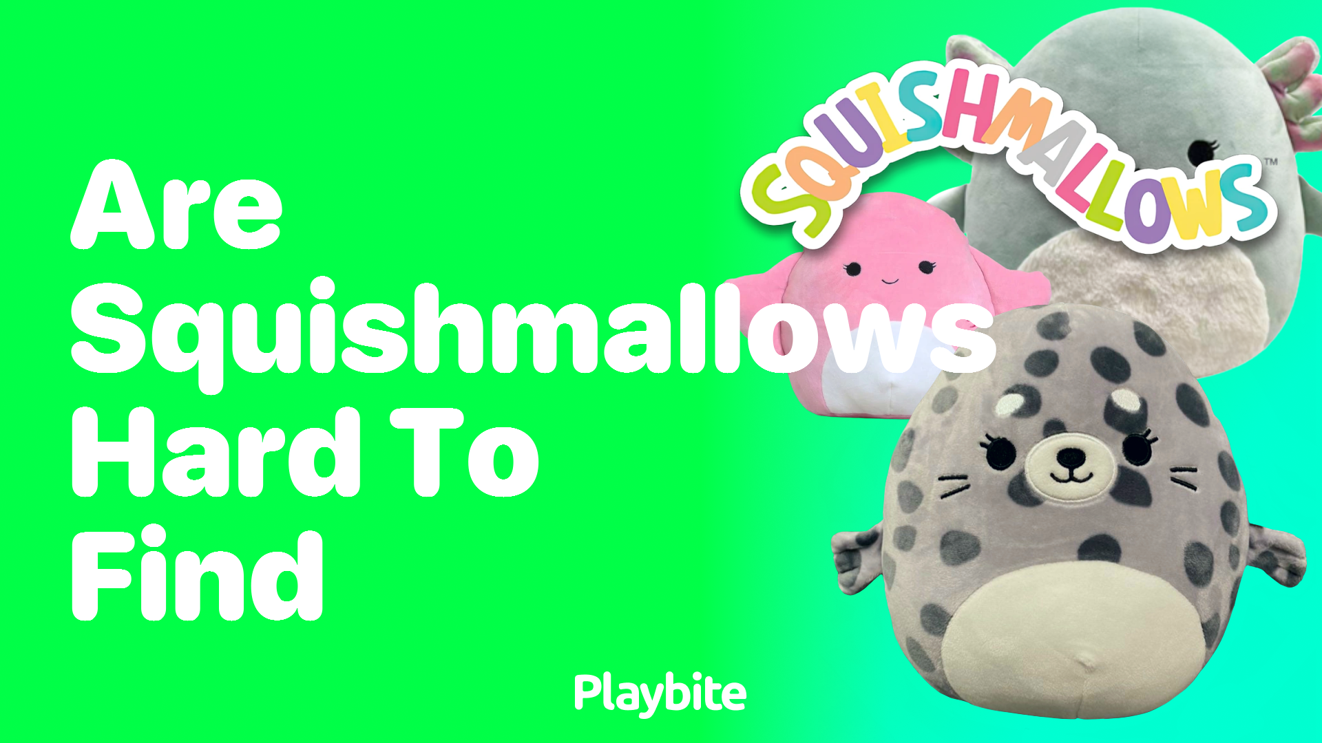 Are Squishmallows Hard to Find? Unraveling the Mystery