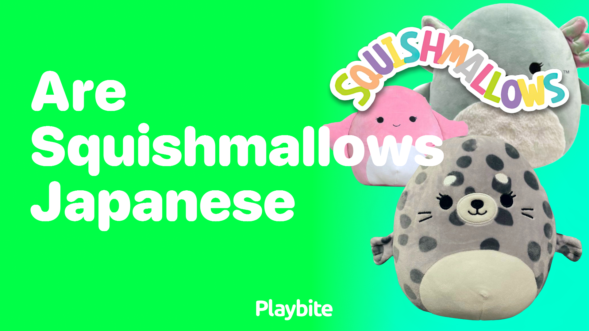 Are Squishmallows Japanese? Unwrapping the Mystery