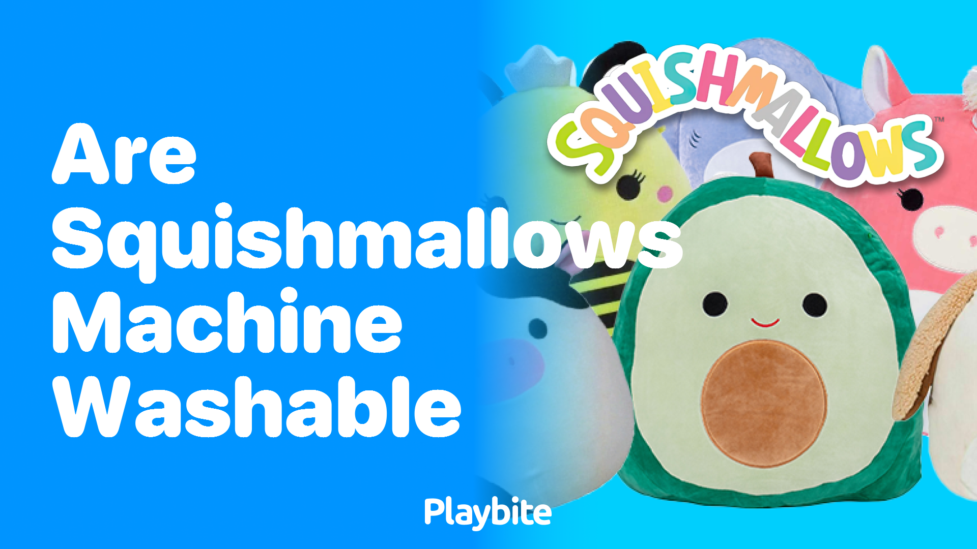 Are Squishmallows Machine Washable? Find Out Here!