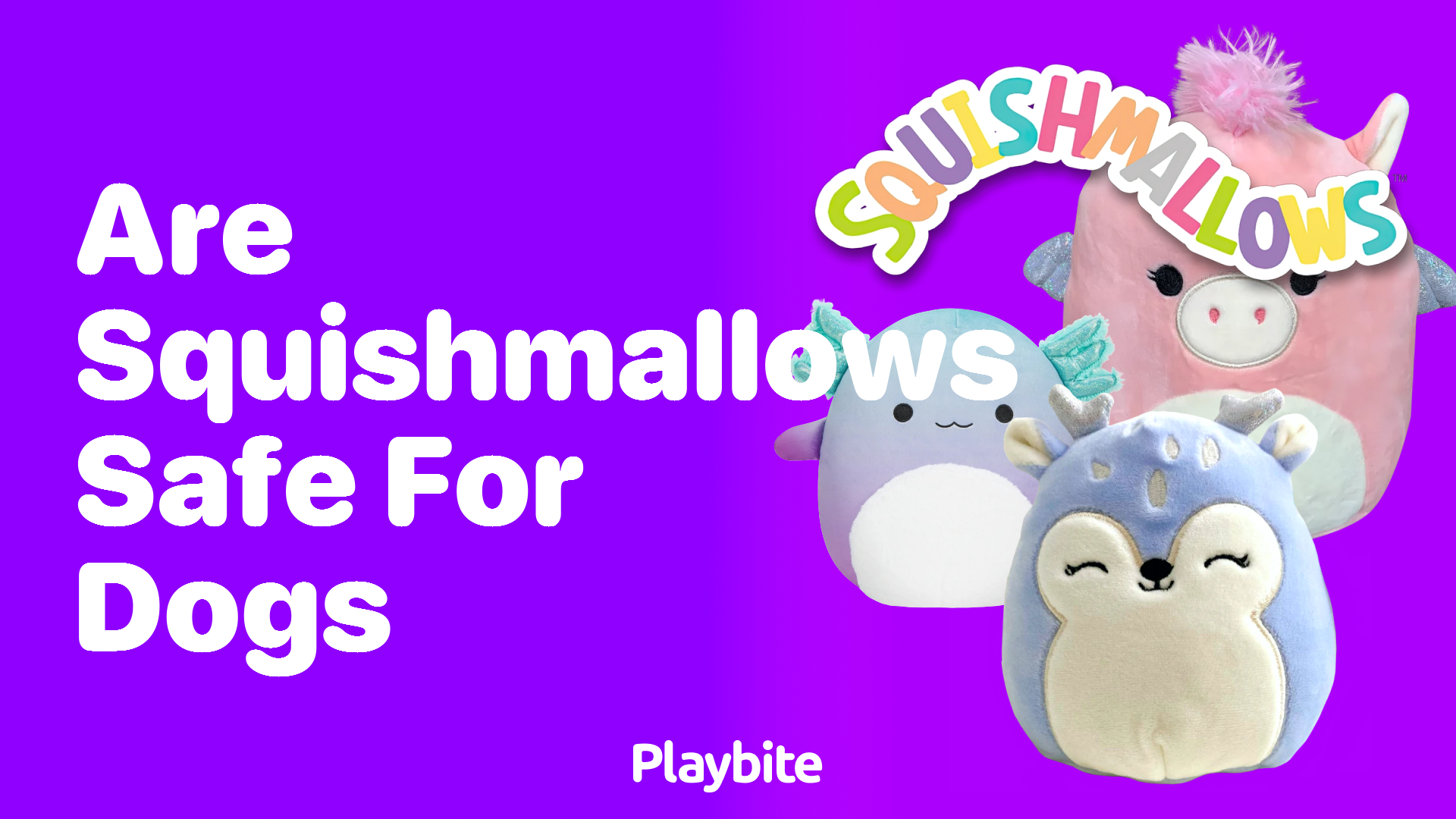 Are Squishmallows Safe for Dogs? Let&#8217;s Find Out!