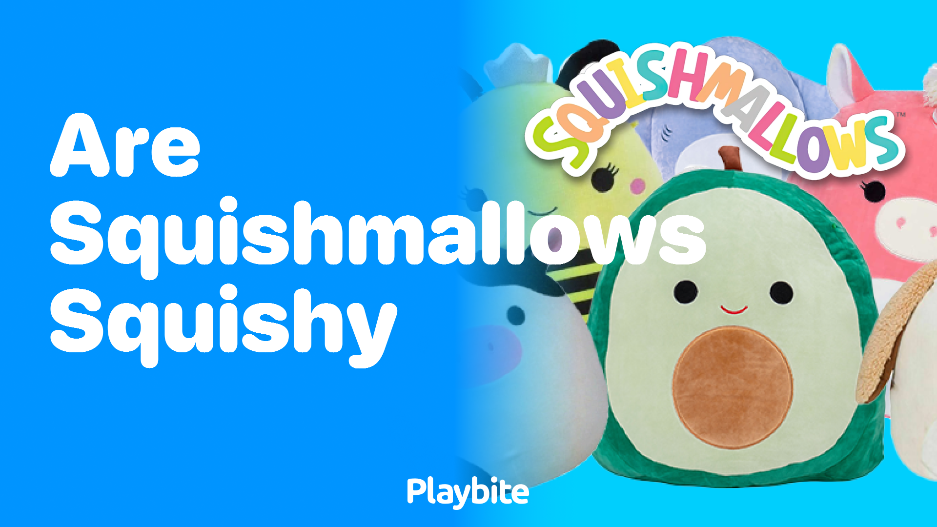 Are Squishmallows Squishy? Discover the Cozy Truth