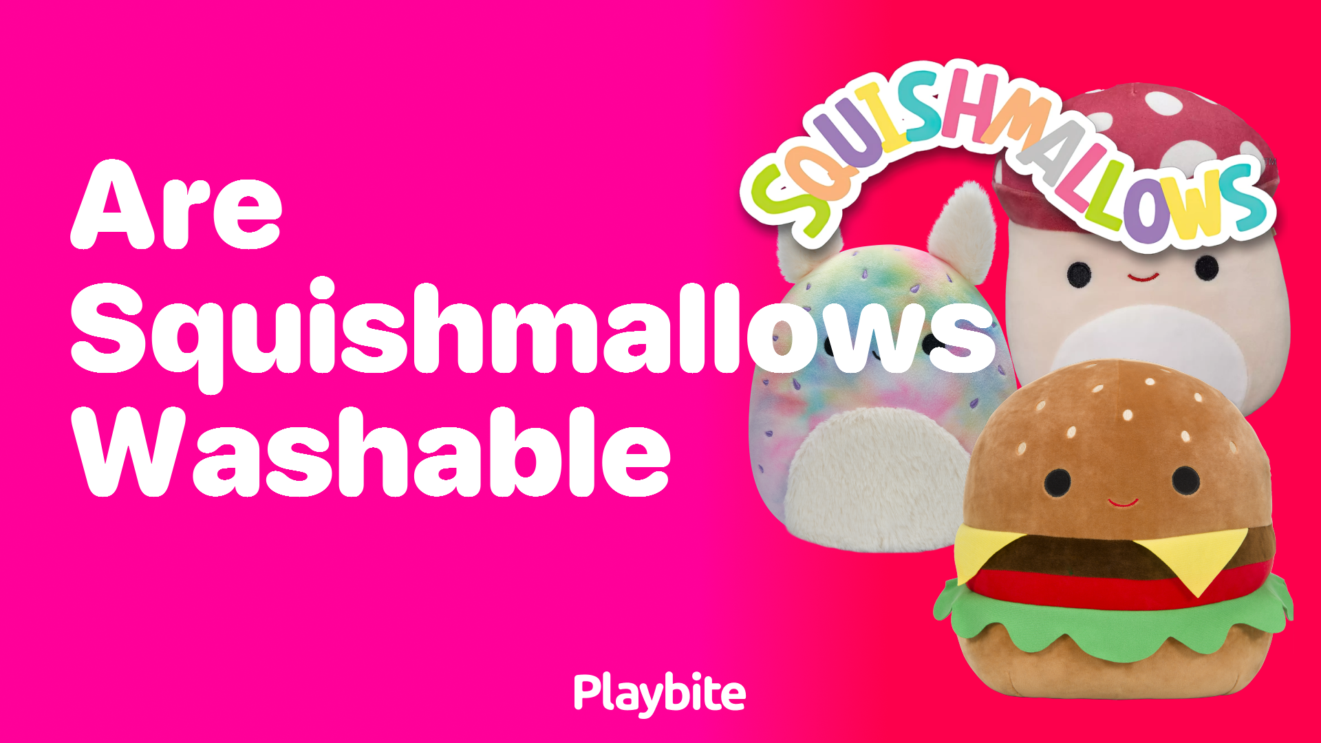 Are Squishmallows Washable? Find Out Here!