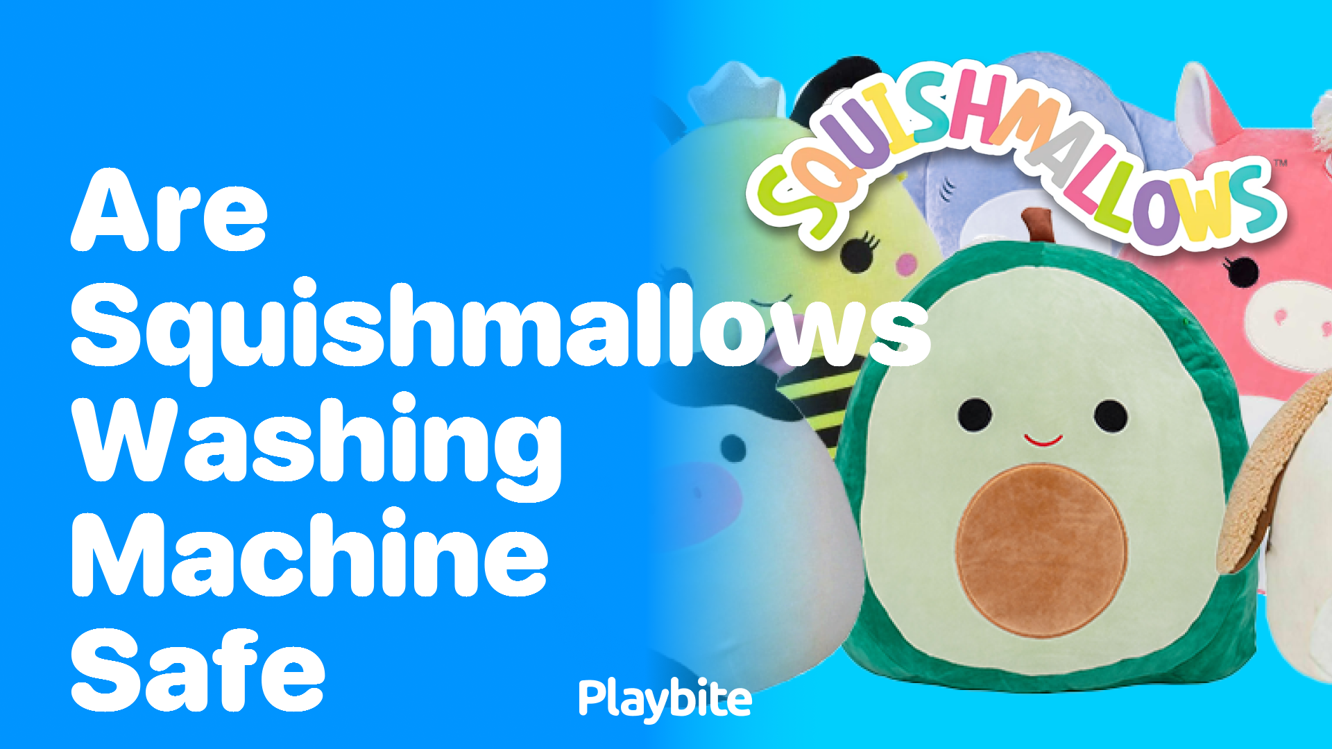 Are Squishmallows Washing Machine Safe? Find Out Here!