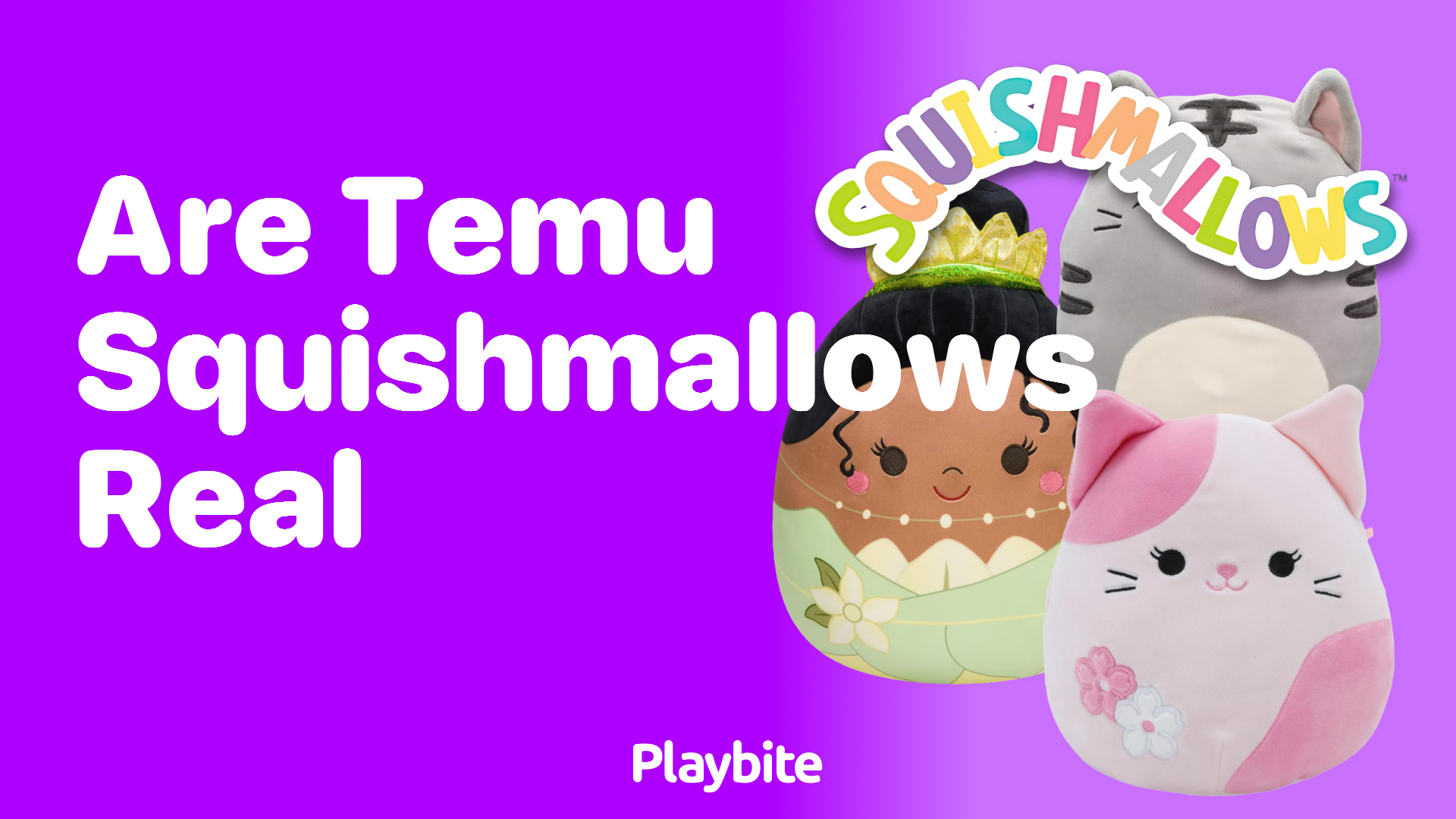 Are Temu Squishmallows Real? Unwrapping the Facts