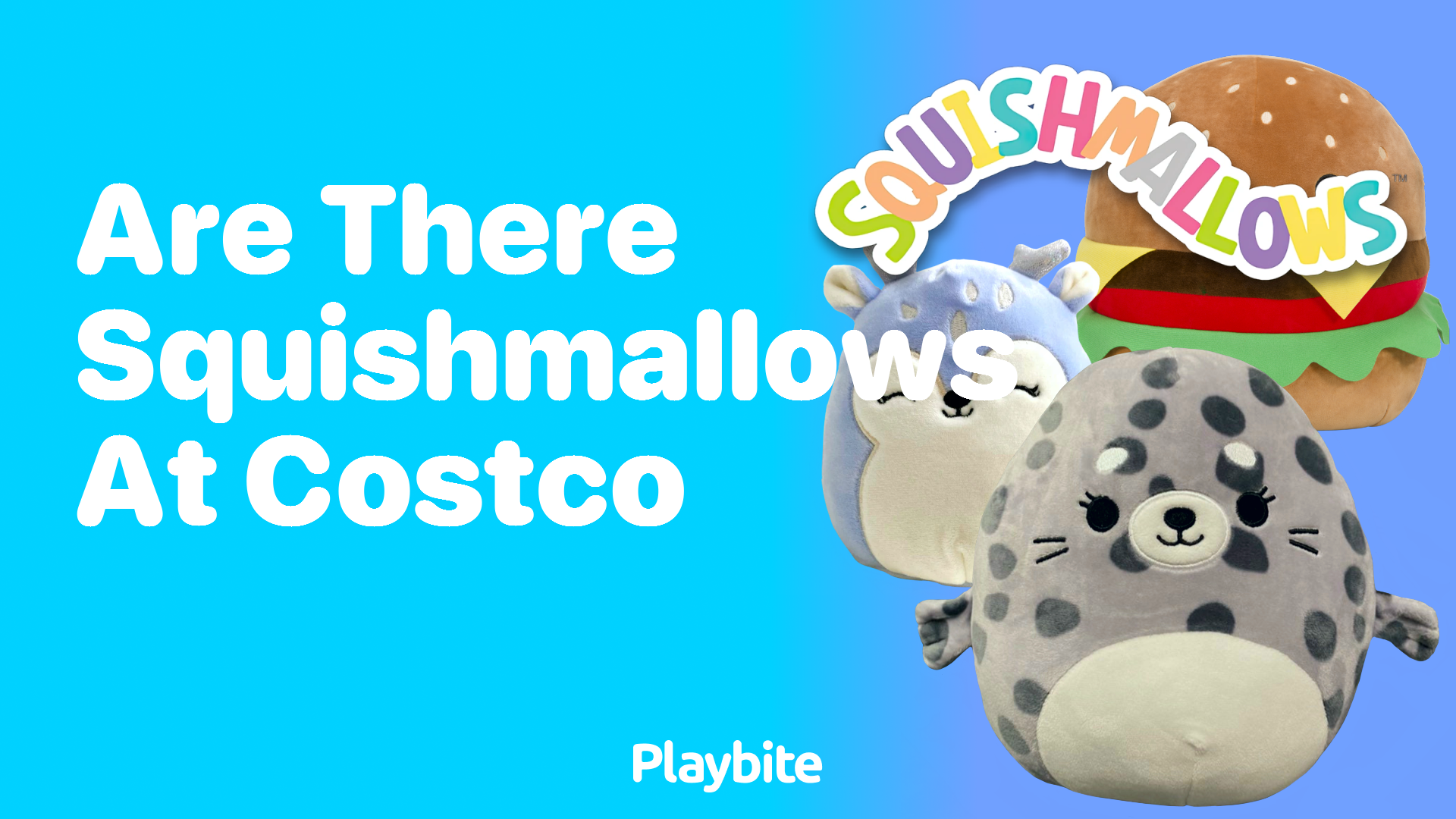 Are There Squishmallows at Costco? Here&#8217;s What You Need to Know