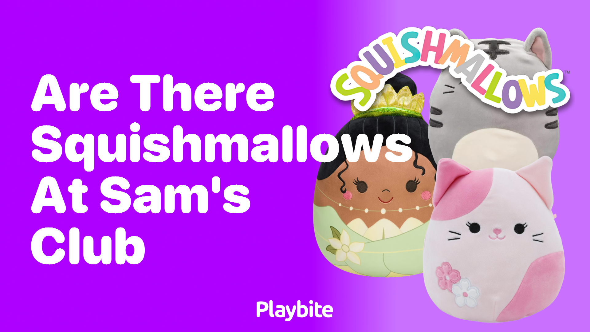 Are There Squishmallows at Sam&#8217;s Club? Find Out Now!