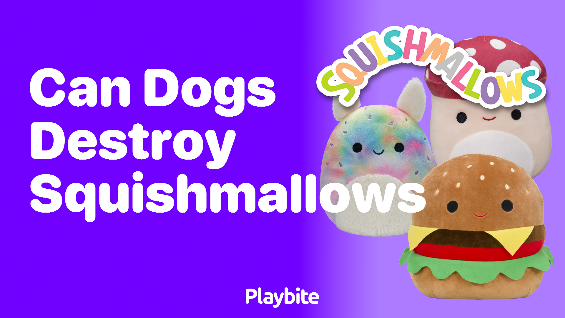 Can Dogs Destroy Squishmallows? Let&#8217;s Find Out