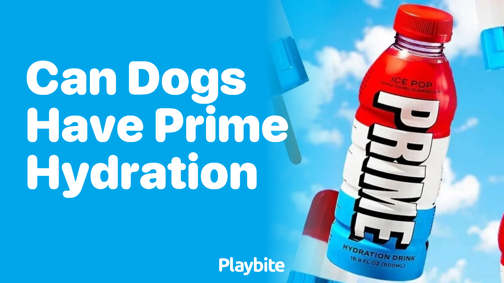 Can Dogs Have Prime Hydration? Let’s Find Out!