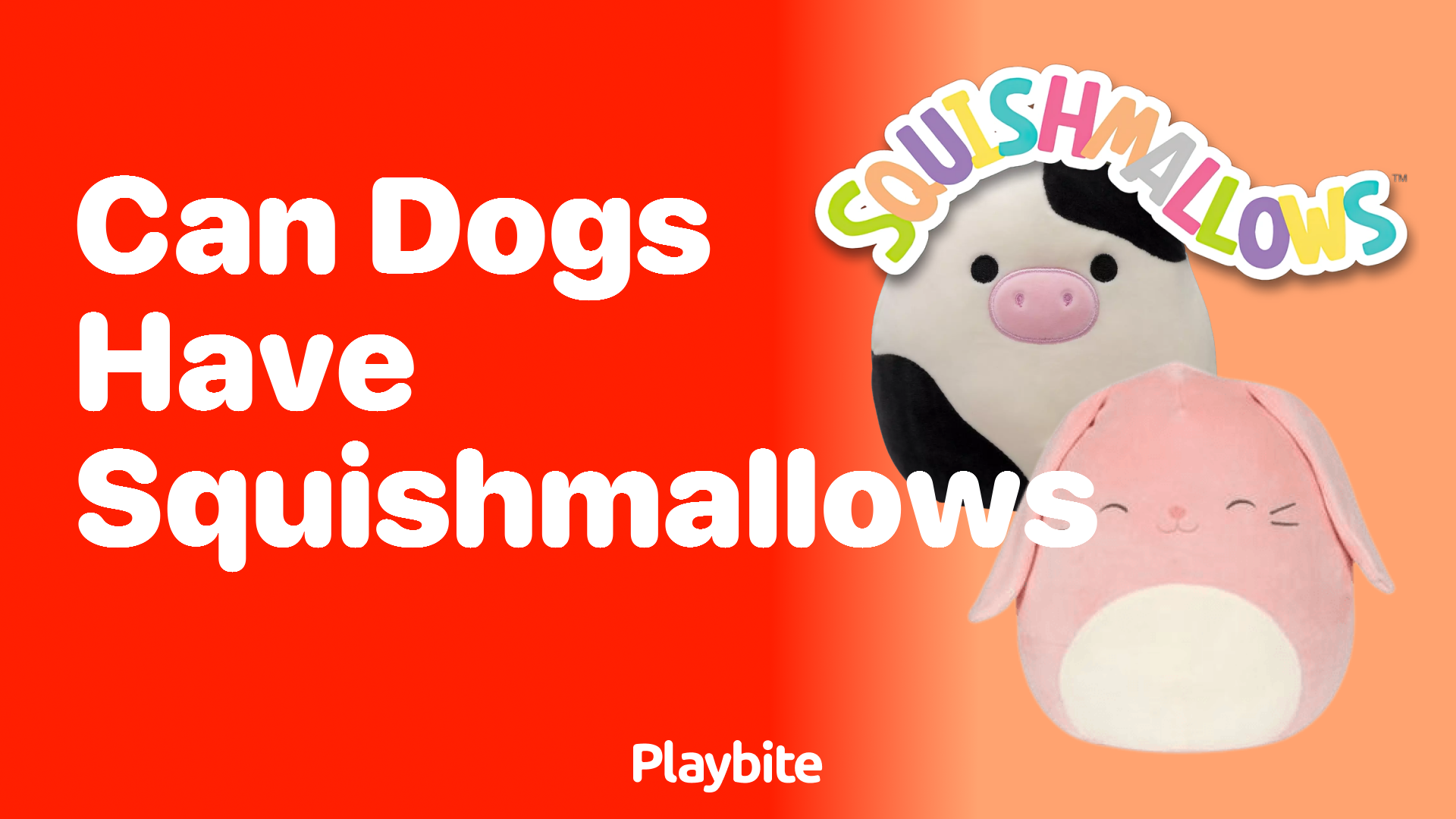 Can Dogs Have Squishmallows? A Pet Owner&#8217;s Guide