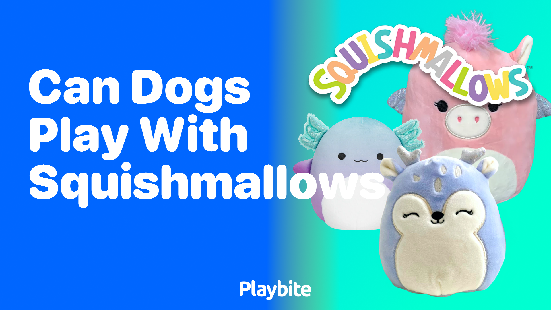 Can Dogs Play with Squishmallows? Find Out Here!