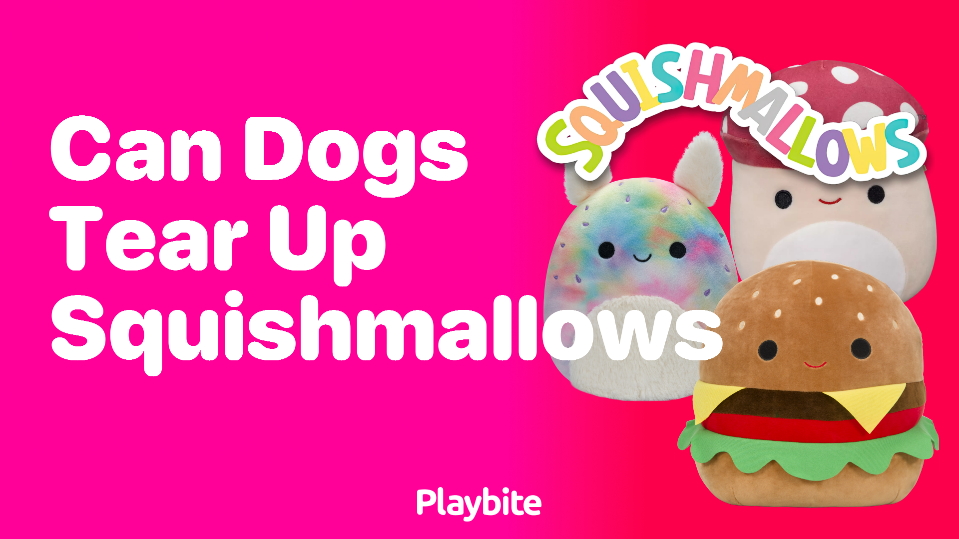 Can Dogs Tear Up Squishmallows? What Pet Owners Should Know