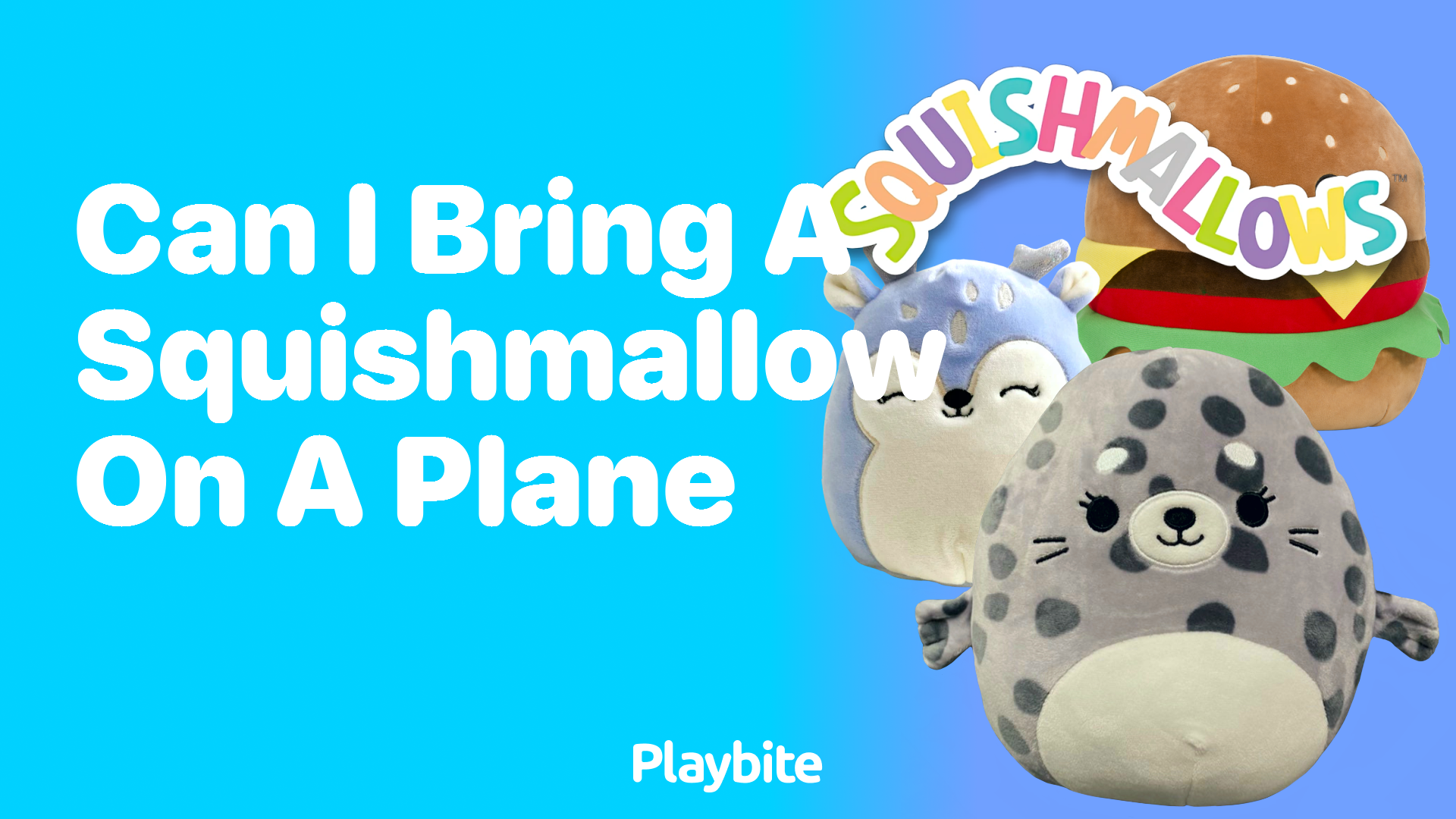 Can I Bring a Squishmallow on a Plane? Let&#8217;s Find Out!