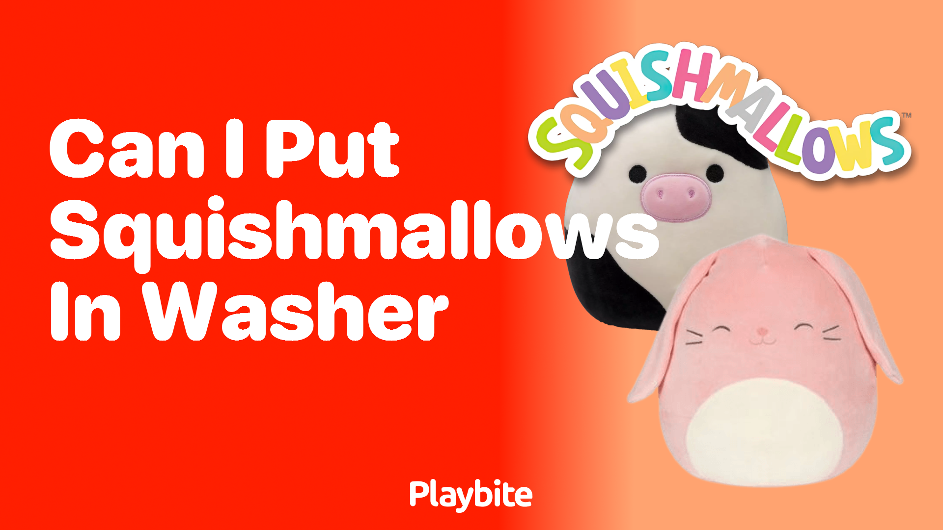 Can I Put Squishmallows in the Washer?