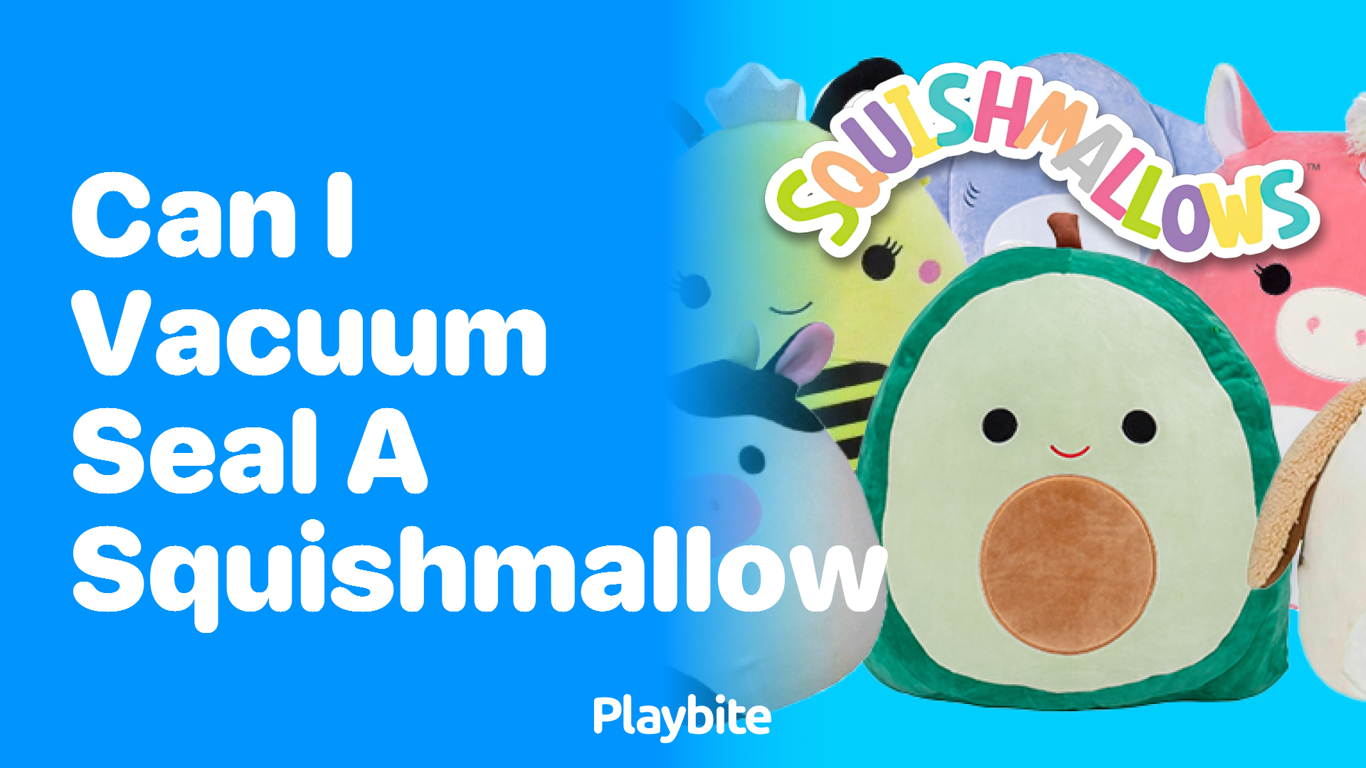 Can I Vacuum Seal a Squishmallow? Here&#8217;s What You Need to Know