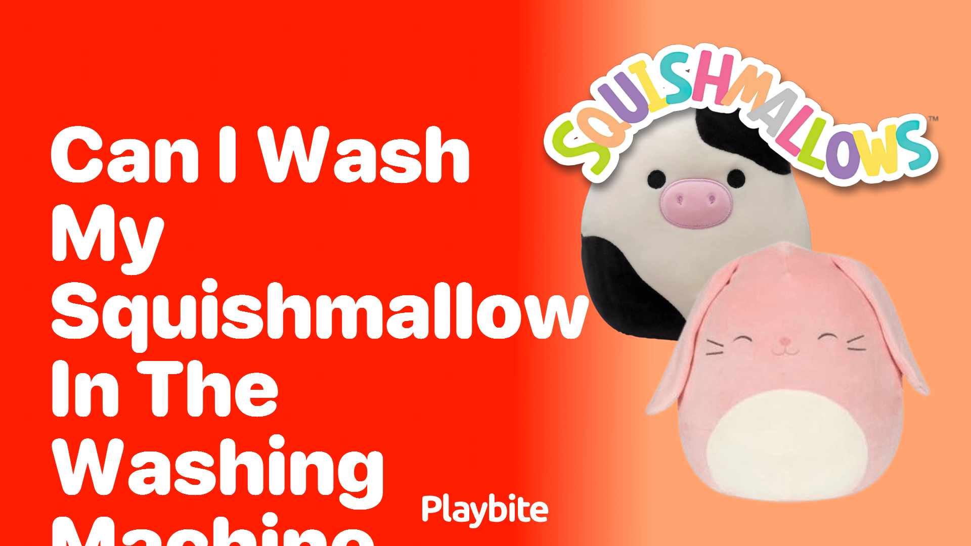 Can I Wash My Squishmallow in the Washing Machine?