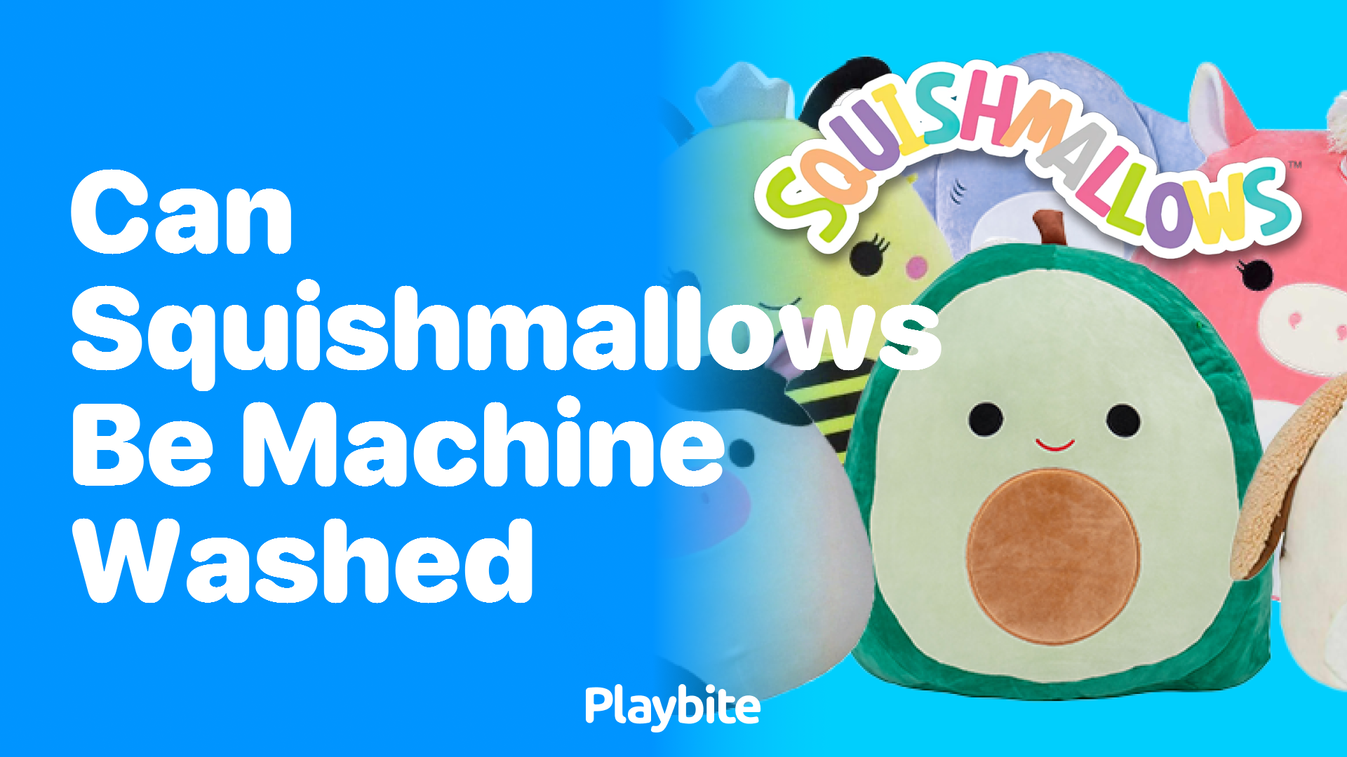 Can Squishmallows Be Machine Washed? Find Out Here!