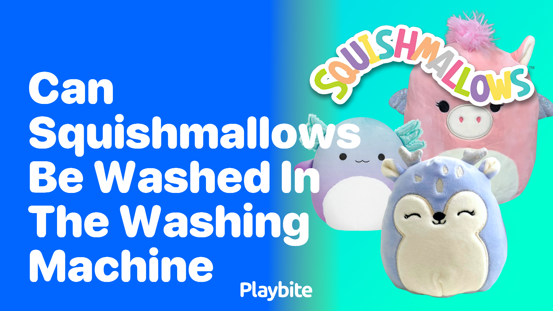 Can Squishmallows Be Washed in the Washing Machine?