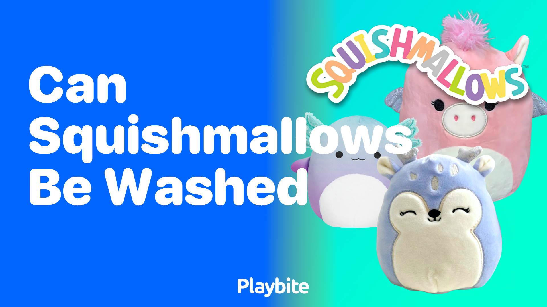 Can Squishmallows Be Washed? A Quick Guide