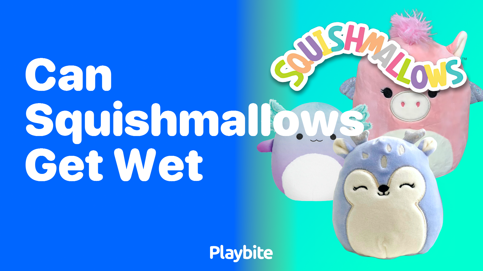 Can Squishmallows Get Wet? Here&#8217;s What You Need to Know