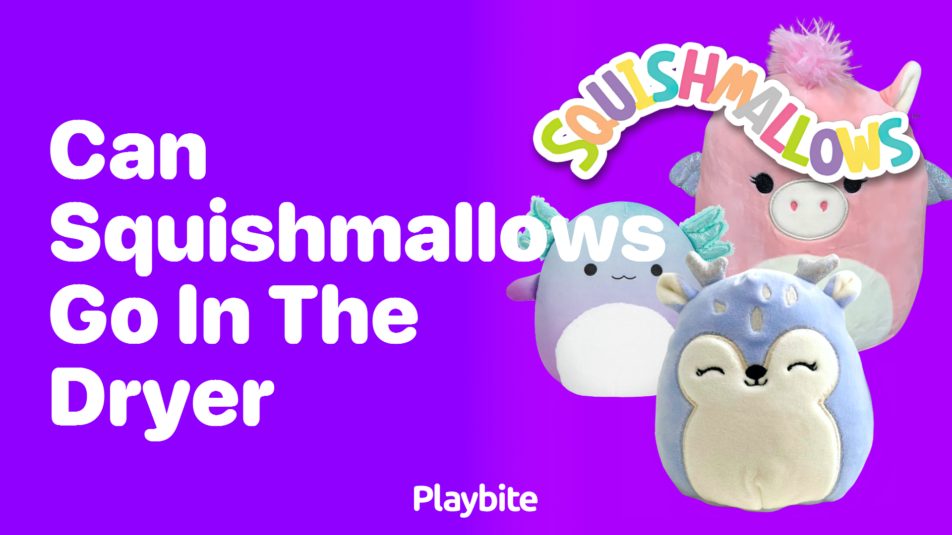 Can Squishmallows Go in the Dryer? Here’s What You Need to Know