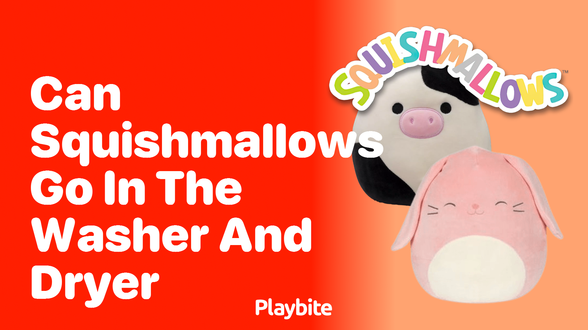 Can Squishmallows Go in the Washer and Dryer?