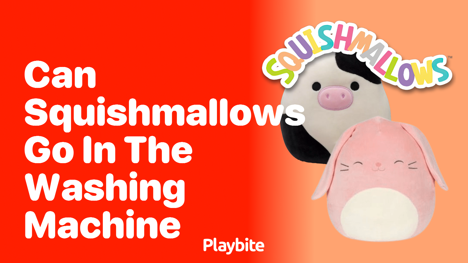 Can Squishmallows Go in the Washing Machine? Cleaning Tips for Your Cuddly Friends