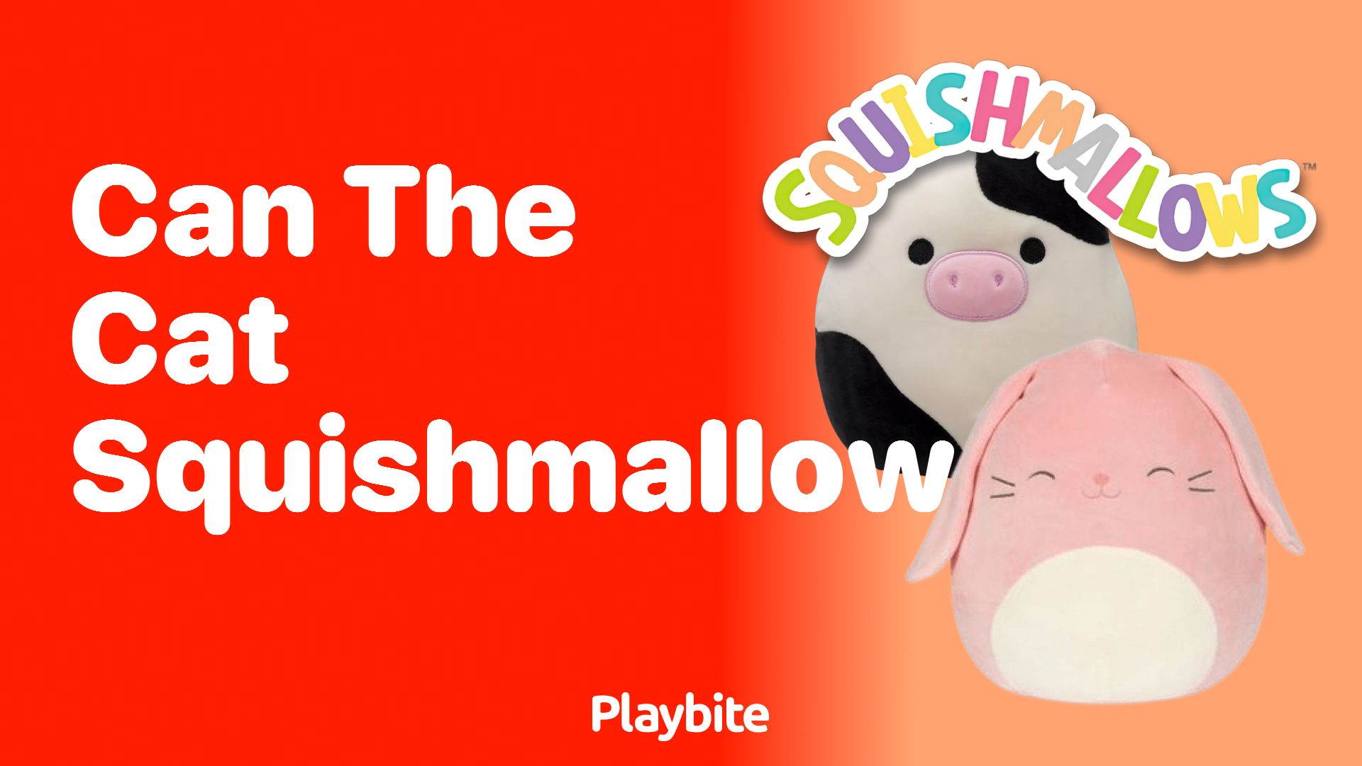 Can the Cat Squishmallow Be Your Next Cuddly Companion?