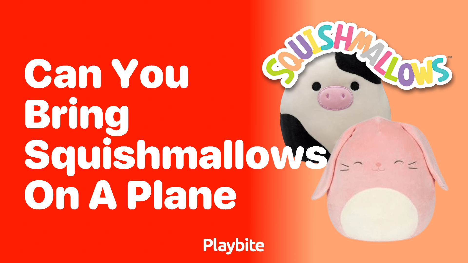 Can You Bring Squishmallows on a Plane? Let&#8217;s Find Out!