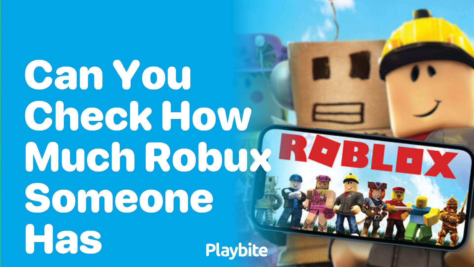 Can You Check How Much Robux Someone Has in Roblox?