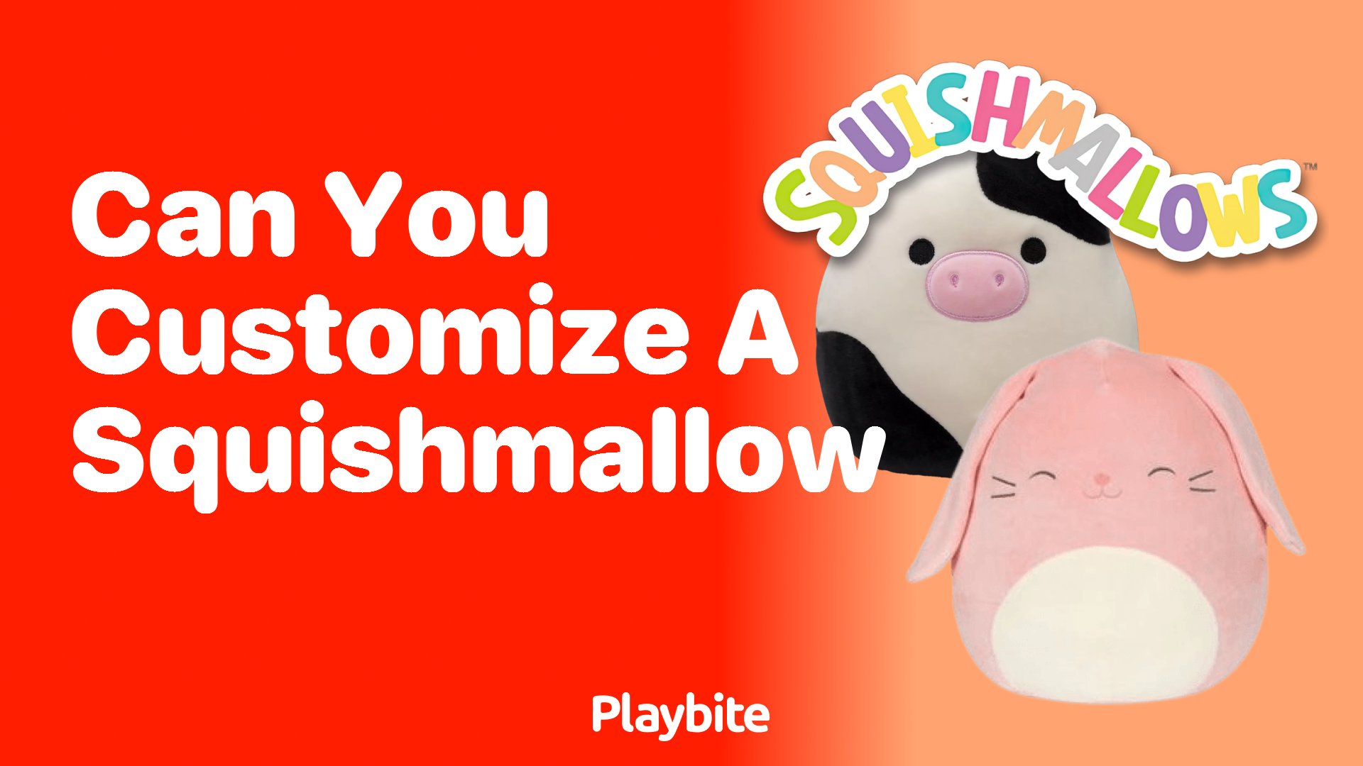 Can You Customize a Squishmallow? Find Out Here!