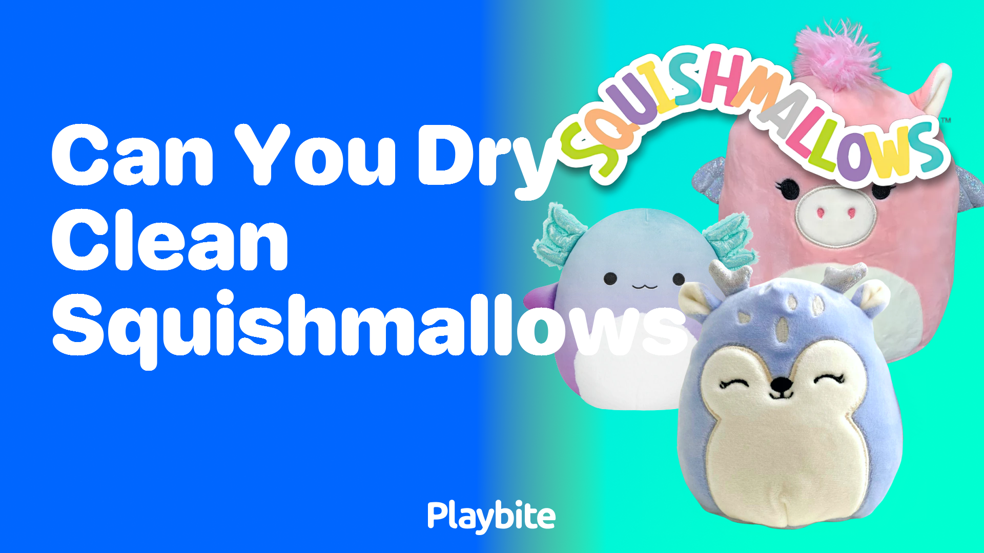 Can You Dry Clean Squishmallows? Discover the Best Care Tips