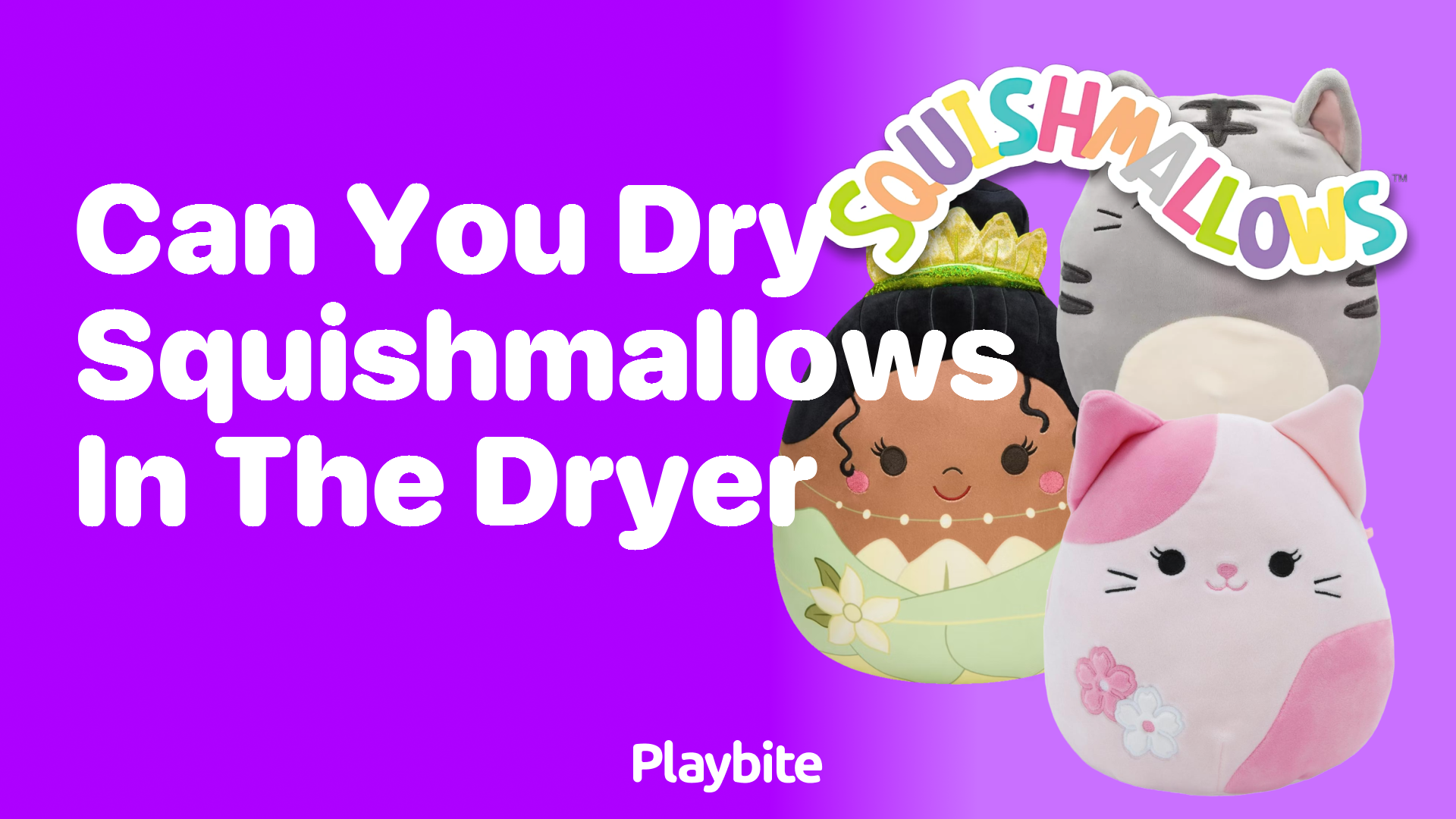 Can You Dry Squishmallows in the Dryer?