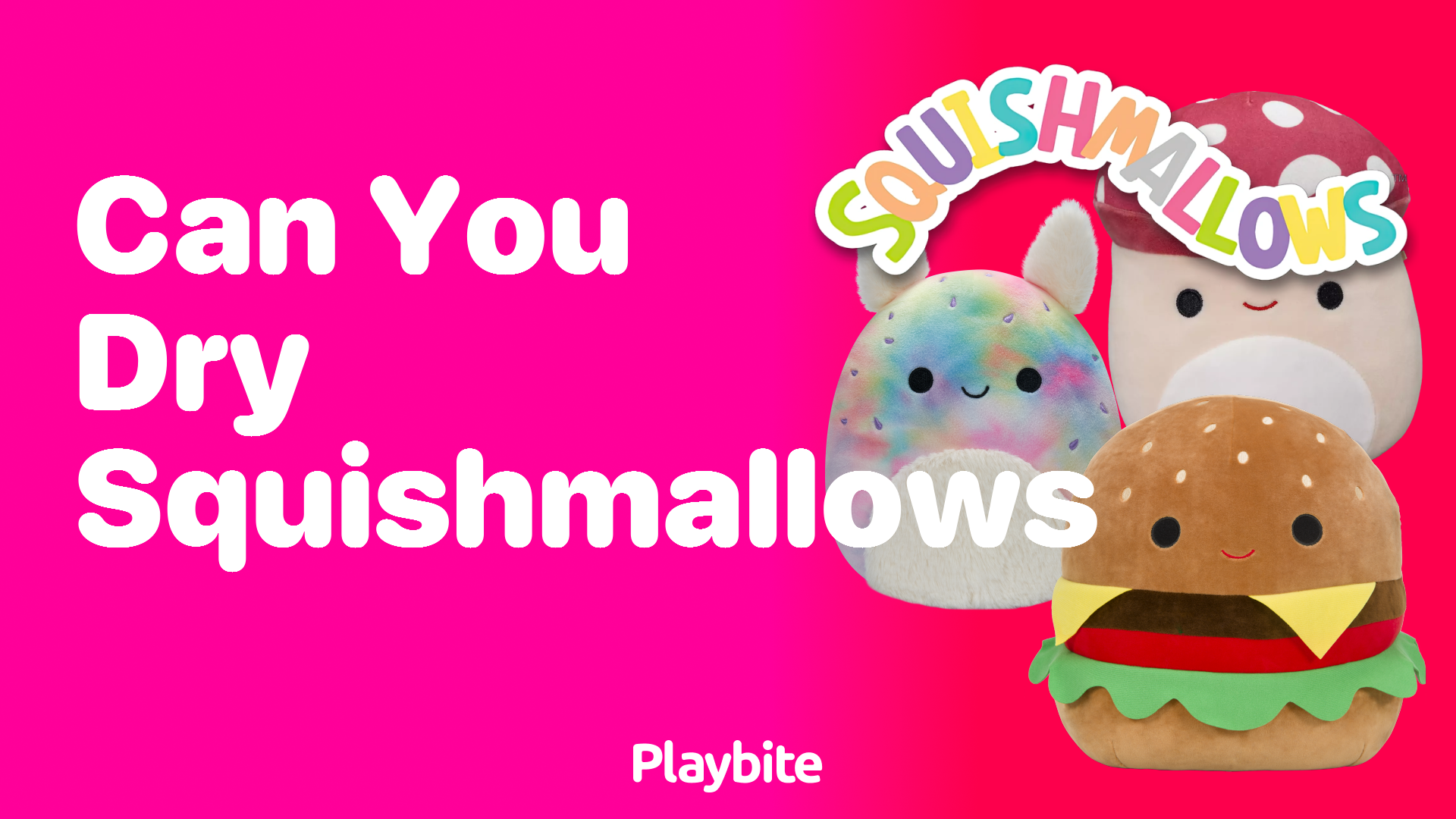 Can You Dry Squishmallows? Find Out Here!