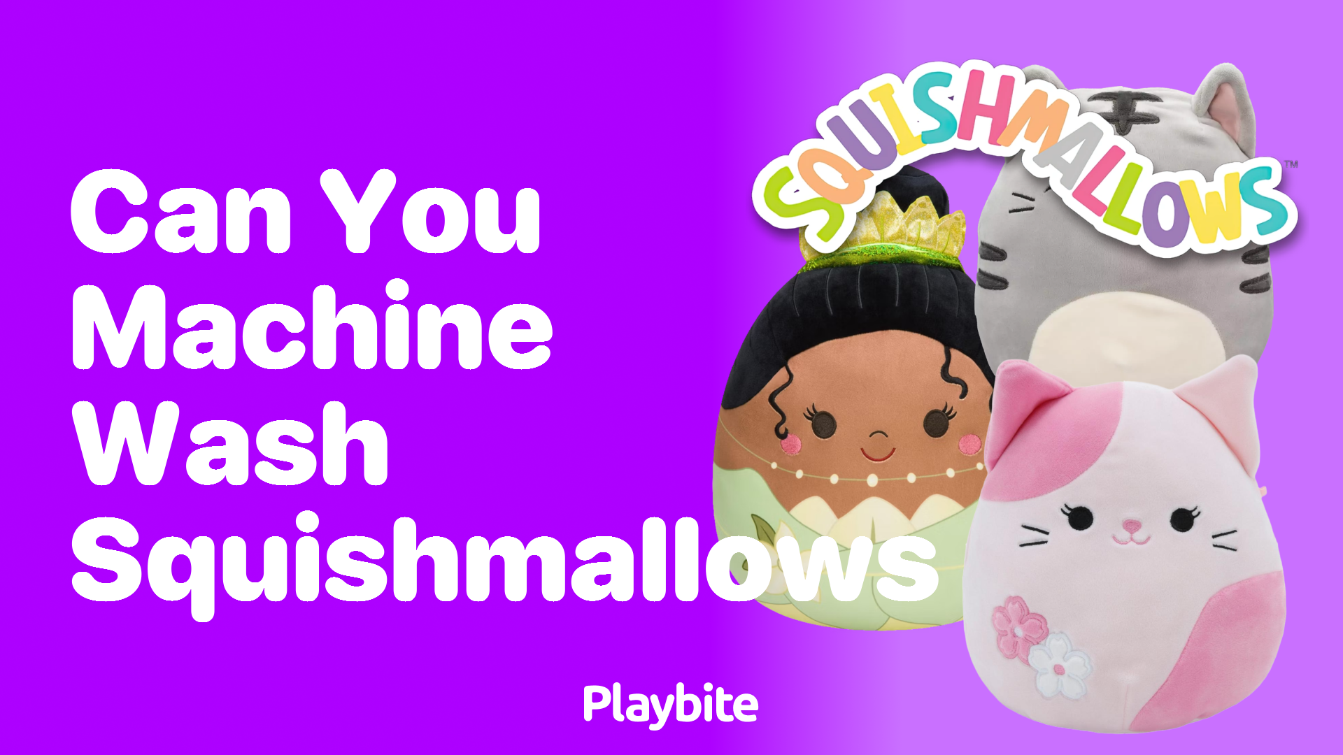 Can You Machine Wash Squishmallows? A Quick Guide