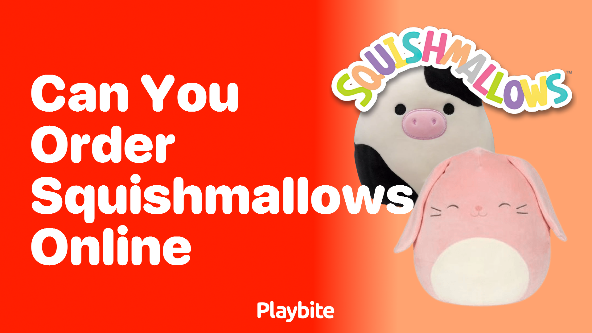 Can You Order Squishmallows Online? Find Out Here!