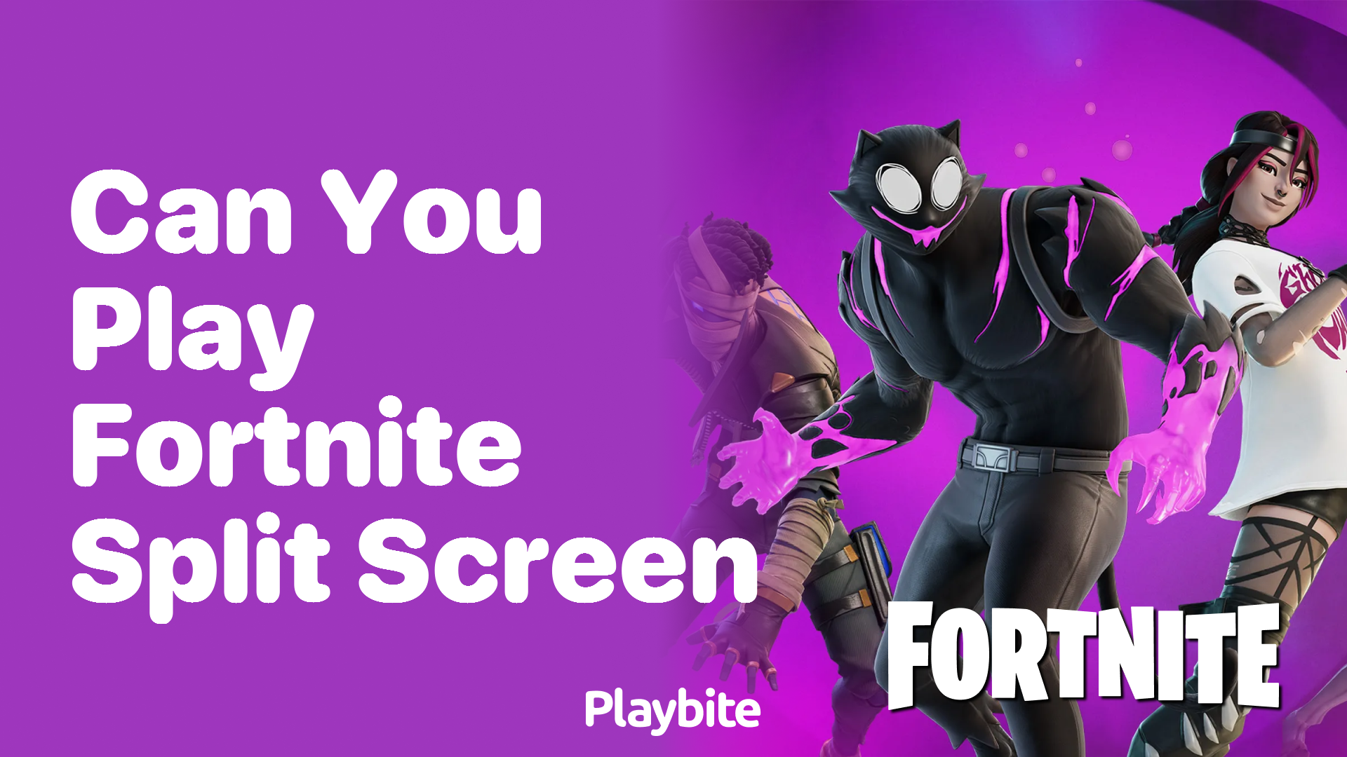 Can You Play Fortnite Split Screen?