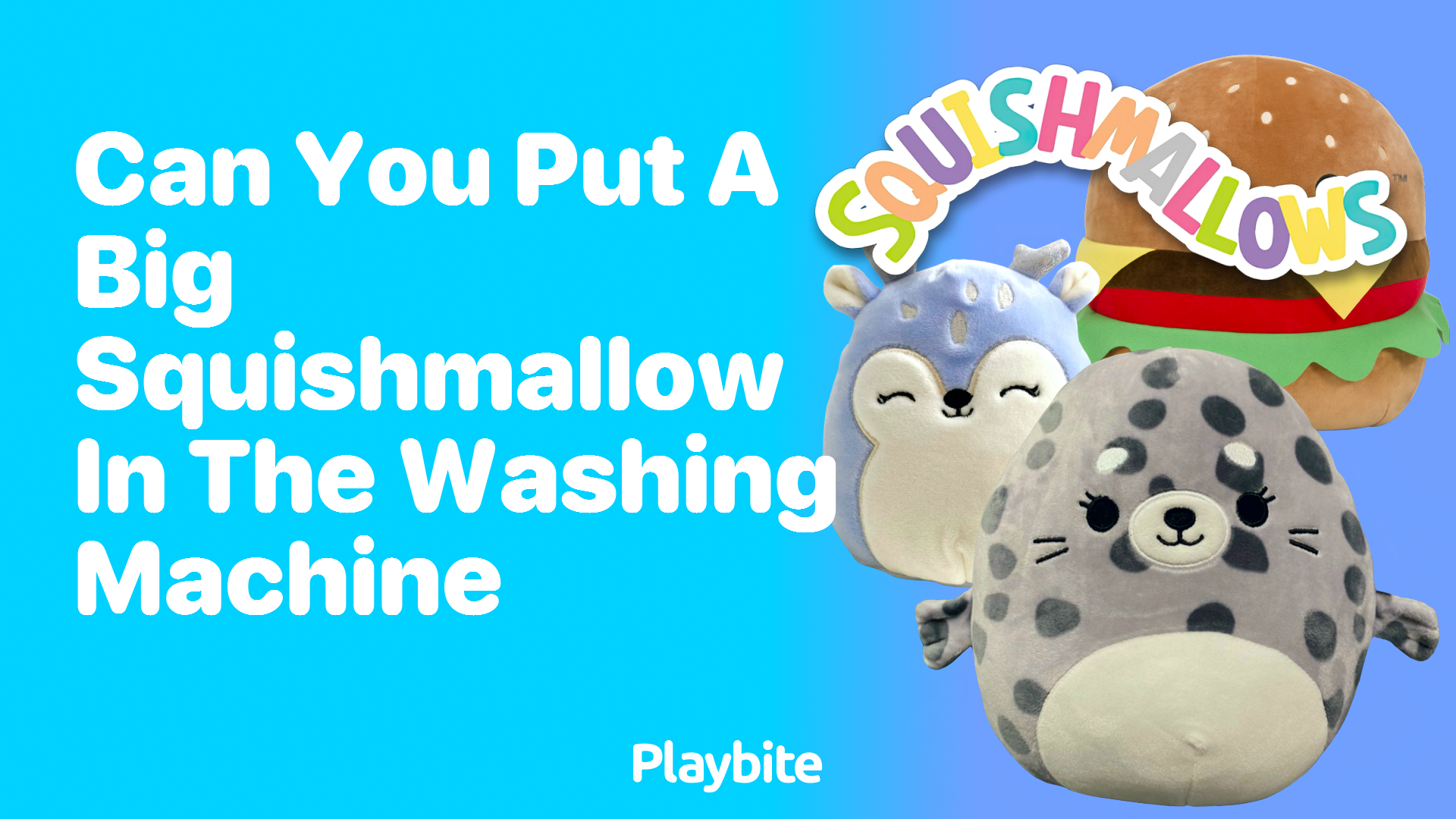 Can You Put a Big Squishmallow in the Washing Machine?