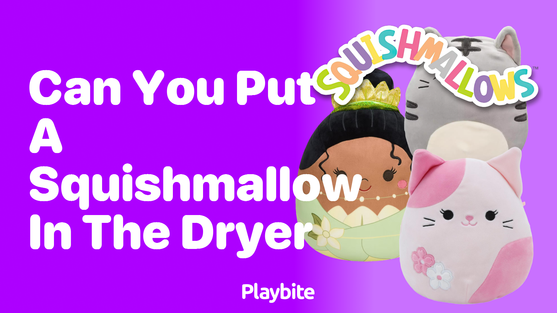 Can You Put a Squishmallow in the Dryer? Find Out Here!