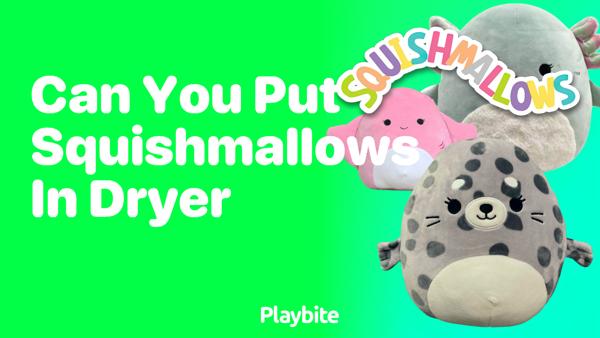 Can You Put Squishmallows in the Dryer? Find Out Here!