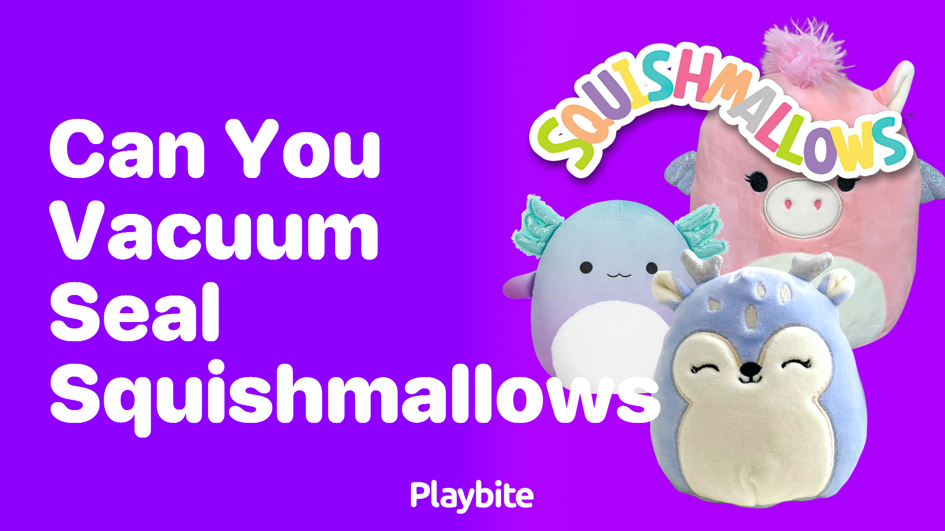 Can You Vacuum Seal Squishmallows? Let&#8217;s Find Out!